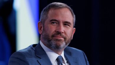 Ripple CEO says SEC will reduce us to the CRIPTO FIRM complaint