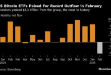 Here are all the reasons that Bitcoin strayed from the record