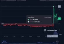 Best Cripto Presale from 2025. years that could follow orca 170% increase