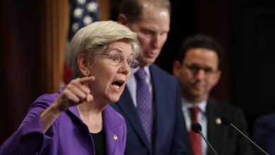DEM Senate Decision Slam Loy to Sector Crypto Units as "Free Pass" for criminals