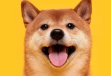 Dogkin and Avalanche lead altcoin recovery while the encryption markets are bounced again