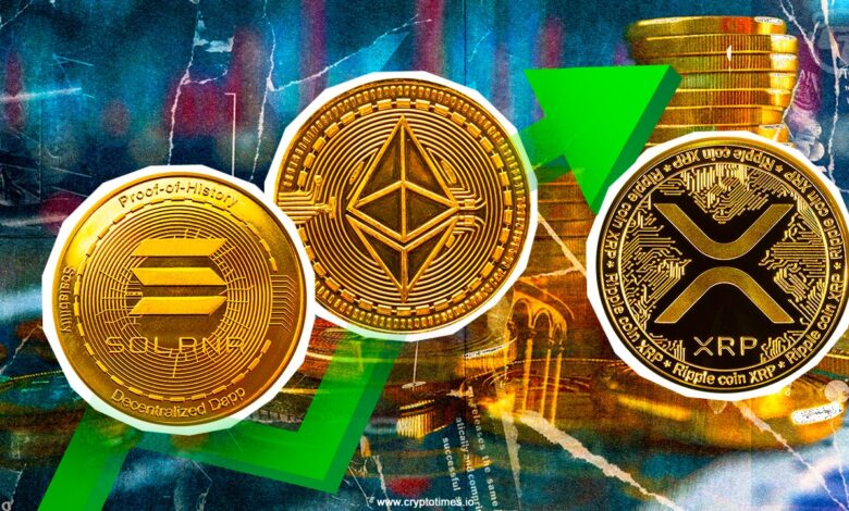 The market turns boring as Bitcoin is trading sideways; Sol leads the upper altcoins