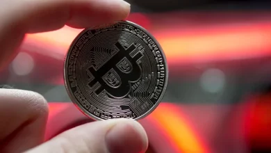 LARGE OF LIGHT BACK CRIPTO EVERZATION
