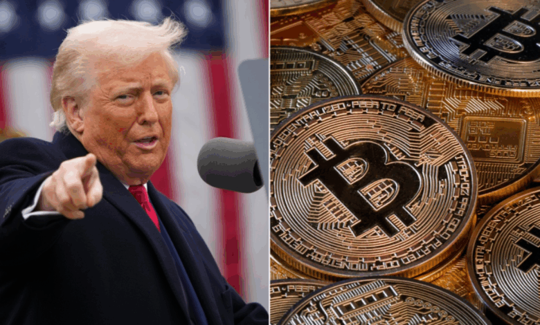 New Consulting Firms Trump-related to DC for movement crypto, AI