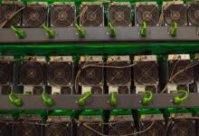 Expert exposes disturbing truth behind the crypt's problem with legal holes