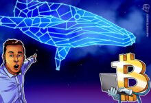 Spot Bitcoin ETF inflow is falling, but BTC Whali activities indicates the acceleration of the bull market