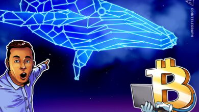 Spot Bitcoin ETF inflow is falling, but BTC Whali activities indicates the acceleration of the bull market