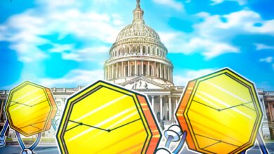 American Senate Cripto Bills Stall Of a Budget category, the Crupto Bulls has all the comforts such as: Na.