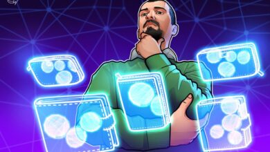 Multi-wallet Use 16%, but can be addressed by crypto fragmentation gap