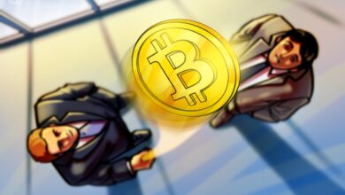 Florida takes over strategic accounts for Bitcoin Rare from the table