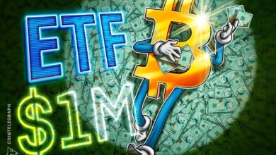 Bitcoin ETFS, GOV'T Drive Drive BTC at a million dollars until 2029. Years: Redefined Financing
