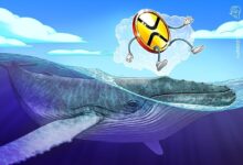 XRP WHAILE FLOW and Technical Setup Council at 40% of the price BOOM Next