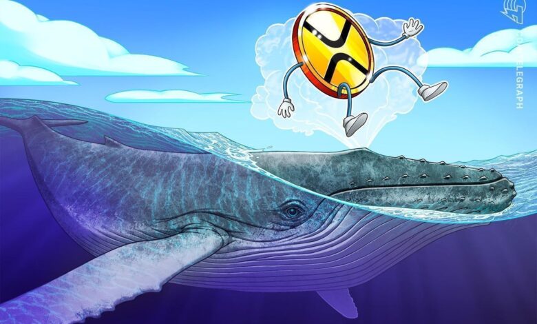 XRP WHAILE FLOW and Technical Setup Council at 40% of the price BOOM Next 5 XRP WHAILE FLOW and Technical Setup Council at 40% of the price BOOM Next