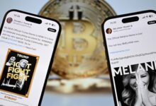 764,000 CRIPTO Wallet has lost money, says Chanalis