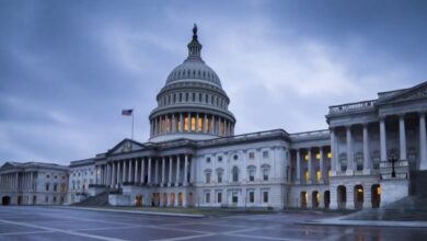 Congress stalls Cripto Bill AS Trump Tees raise concern
