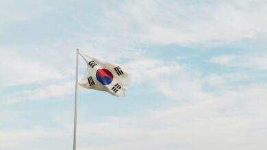 Ripple, Dogecoin bets become the most popular on the S.Korean exchange you earn in the middle of an American tariff