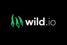 Wild.io was chosen as the upper CRIPTO Casino in Canada