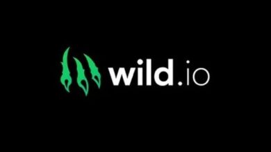 Wild.io was chosen as the upper CRIPTO Casino in Canada
