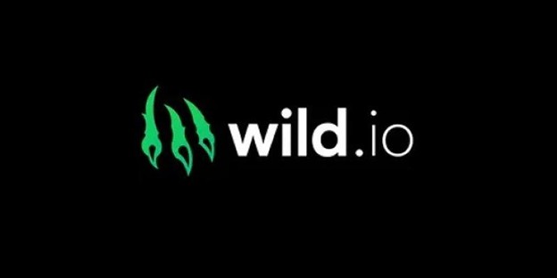 Wild.io was chosen as the upper CRIPTO Casino in Canada