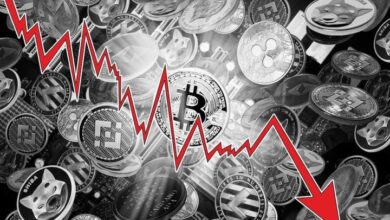 Investment Investor makes diversified crippt exposure, comparing it to the Internet in 2004. years