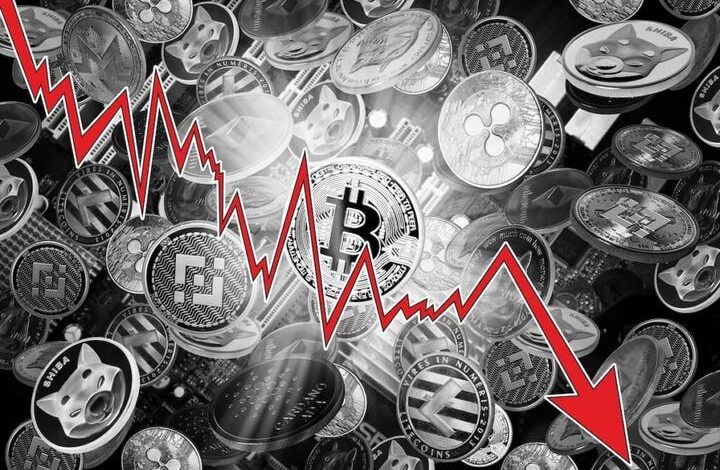 Investment Investor makes diversified crippt exposure, comparing it to the Internet in 2004. years 1 Investment Investor makes diversified crippt exposure, comparing it to the Internet in 2004. years