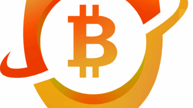 Ripple BTC and XRP investors use the CRIPTO Cloud Curfing Furd