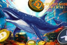 Amnesty International Mining: Gently 9,140 dollars per day - XRP, Dogecoin, BTC Cash Code