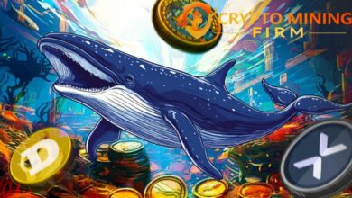 Amnesty International Mining: Gently 9,140 dollars per day - XRP, Dogecoin, BTC Cash Code