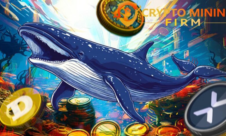 Amnesty International Mining: Gently 9,140 dollars per day - XRP, Dogecoin, BTC Cash Code 1 Amnesty International Mining: Gently 9,140 dollars per day - XRP, Dogecoin, BTC Cash Code