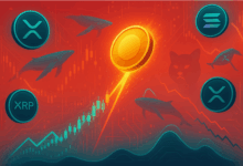 BNB and XRP are the worst performance price in Top 10 Crypto, can it be due to a new competitor?