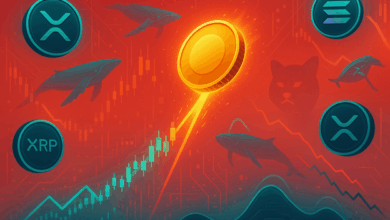 BNB and XRP are the worst performance price in Top 10 Crypto, can it be due to a new competitor?