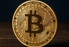 Bitcoin Prices - BTC reaches 101 thousand dollars, but is it too late for purchase?