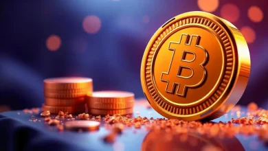 Bitcoin activity storms - can it be the next penetration?