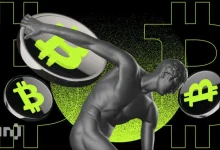 Bitcoin holders in the long term lead these fees in the wave of profit achievement