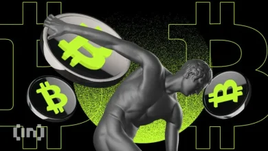 Bitcoin holders in the long term lead these fees in the wave of profit achievement