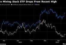Bitcoin miners are a dark living living even with Trump alongside them