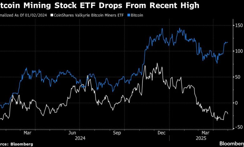 Bitcoin miners are a dark living living even with Trump alongside them
