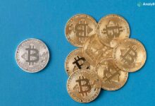 Bitcoin price decreased less than 103 thousand dollars, Doug tanks 7.69 %