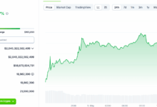 Bitcoin price reaches 104 thousand dollars, as it treats a new portfolio