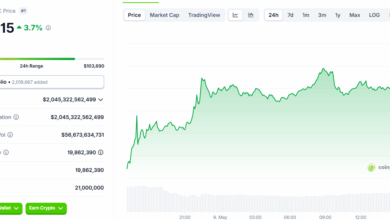 Bitcoin price reaches 104 thousand dollars, as it treats a new portfolio