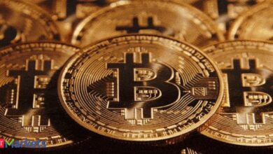 Bitcoin slides below 102,400 dollars amid profit booking before inflation data in the United States; Altcoins decreased to 7 %