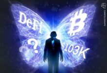 Bitcoin strikes 103 thousand dollars, but Defi is a mixed bag: the financing has been redefined