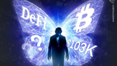 Bitcoin strikes 103 thousand dollars, but Defi is a mixed bag: the financing has been redefined