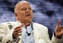 Bitcoin was a "report on financial supervision": Mike Novuzratzat