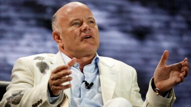Bitcoin was a "report on financial supervision": Mike Novuzratzat