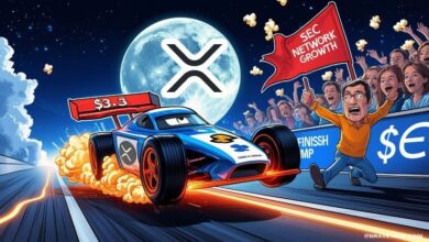 XRP News today: XRP Rally Stalls As Sec Motion Rejected and Growth