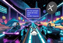 XRP News Today: XRP WHAILES MLAKO 782M USD AS XRP LEDGER has exceeded 1M transaction after decision on feeding