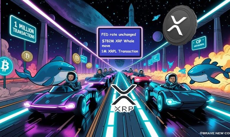 XRP News Today: XRP WHAILES MLAKO 782M USD AS XRP LEDGER has exceeded 1M transaction after decision on feeding 6 XRP News Today: XRP WHAILES MLAKO 782M USD AS XRP LEDGER has exceeded 1M transaction after decision on feeding