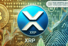 Bondit says that purchasing XRP is less than $ 5 is similar to bitcoin in the lowest previous point