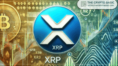Bondit says that purchasing XRP is less than $ 5 is similar to bitcoin in the lowest previous point